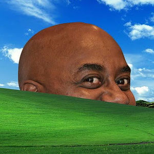 Meet your Posher, Joel